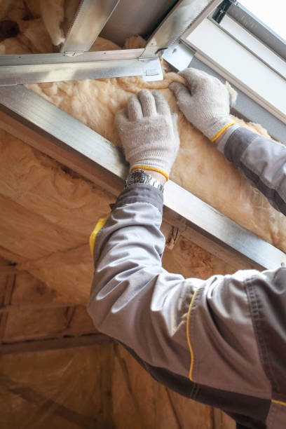 Best Insulation Contractors for Homes  in Elk Point, SD